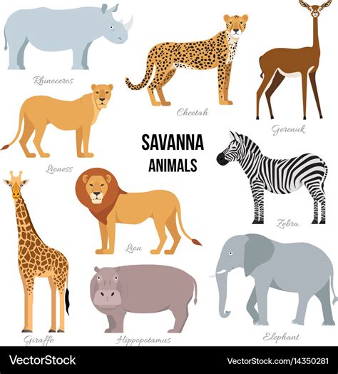 African animals of savanna elephant rhino Vector Image