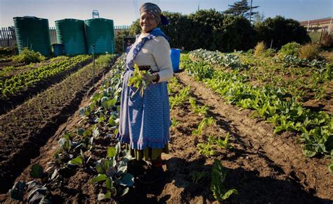 Namibia: Agriculture Remains Engine Behind Economy - allAfrica.com