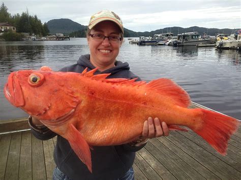 Ketchikan Alaska Salmon Fishing Lodges - Unique Fish Photo