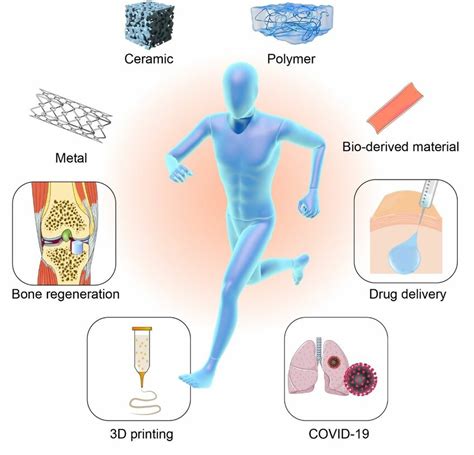 Different sources and applications of regenerative biomaterials ...