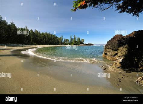 Halfmoon bay pacific rim national park hi-res stock photography and images - Alamy