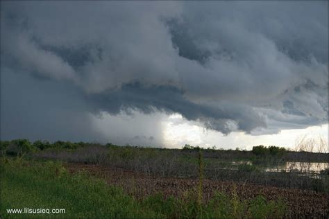 Storm coming in at Lake Apopka Wildlife Drive. #florida_weather #wildlife #lawd #stormclouds # ...