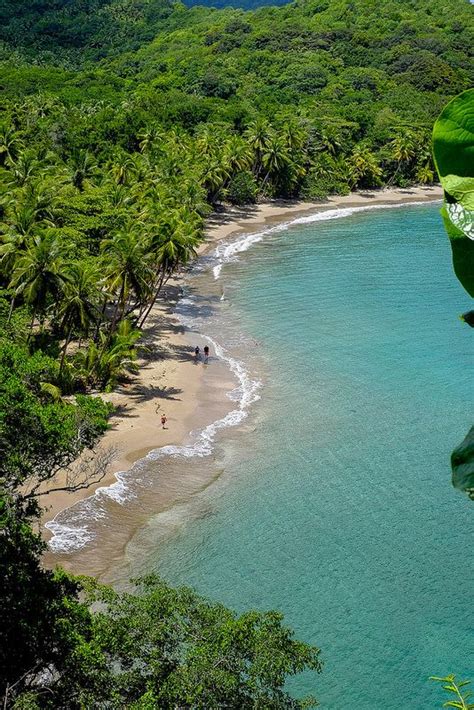 Batibou Beach (Dominica) | Beach, Caribbean islands, Caribbean travel