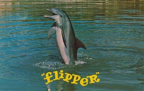 Flipper was the main character on a popular 1960s TV Show & Movie, which was revived in the 90s ...