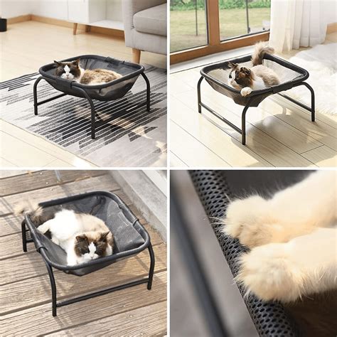 Elevating Your Cat's Naptime: The Best 7 Elevated Cat Beds