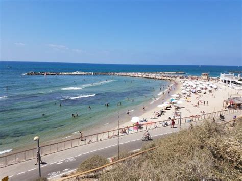 Hilton Beach (Tel Aviv, Israel) - omdömen - Tripadvisor