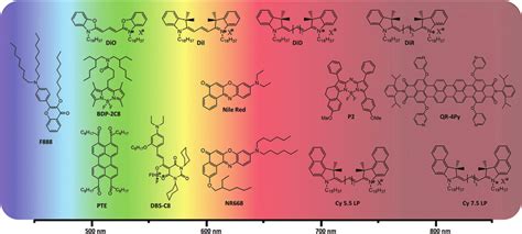 Examples of fluorescent lipophilic dyes used for preparation of... | Download Scientific Diagram