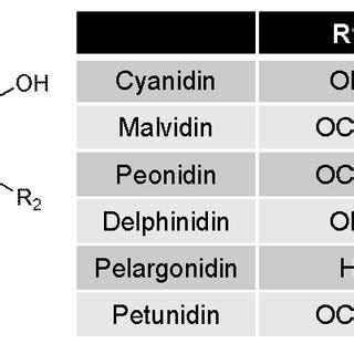 (PDF) Dietary Anthocyanins against Obesity and Inflammation