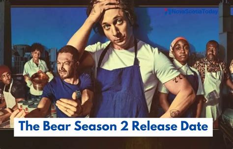 The Bear Season 2: Release Date, Trailer, and more! - DroidJournal