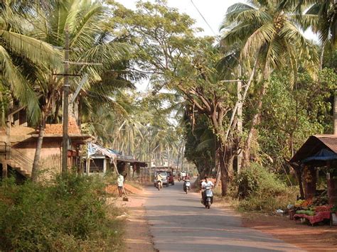 Morjim beach, panjim, India - Top Attractions, Things to Do ...