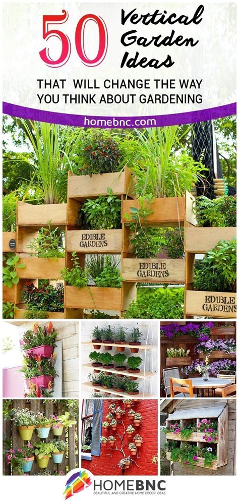 The 50 Best Vertical Garden Ideas and Designs for 2022