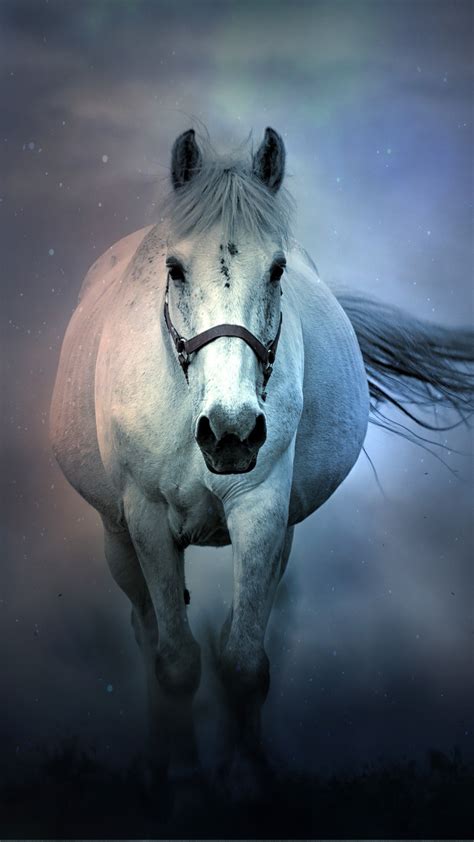 White Horse 4K 8K Wallpapers | HD Wallpapers | ID #28867