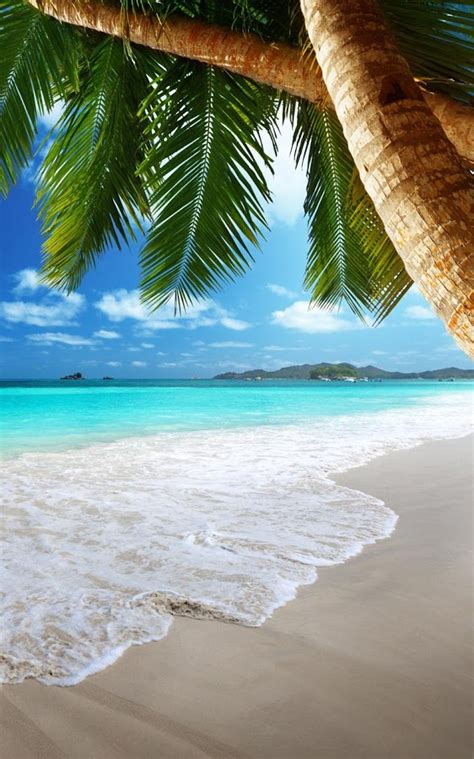 🔥 [50+] Free Tropical Beach Live Wallpapers | WallpaperSafari