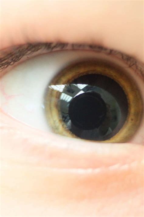 Does Coffee Dilate Your Pupils Making Them Larger?