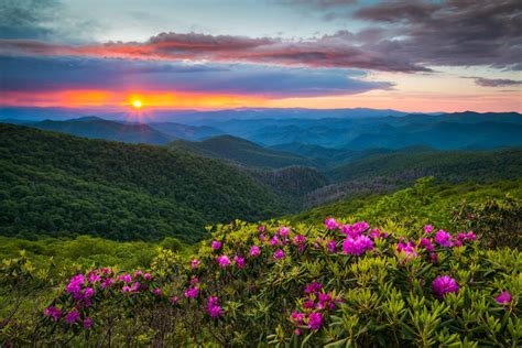 20 Best National Parks in Spring (2021 Update) - FamilyVacationist