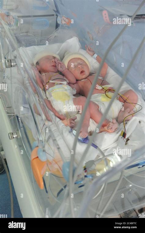 Baby twins in incubator hi-res stock photography and images - Alamy