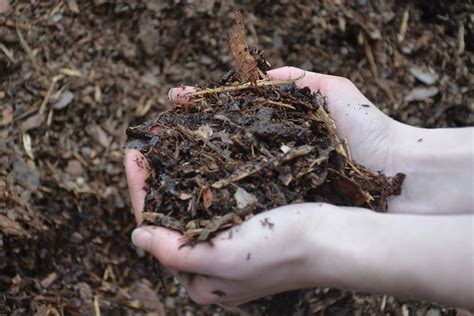 Bark Mulch & Delivery | Heyden's Gardens | Cedarburg, WI