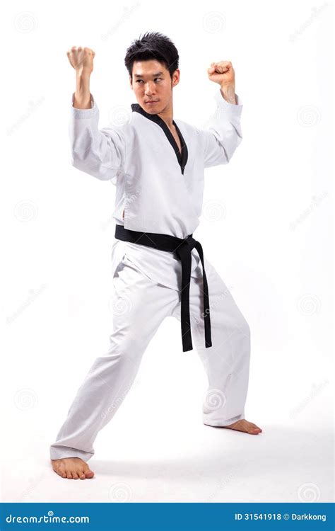 Taekwondo action stock photo. Image of education, aikido - 31541918