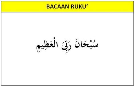 Bacaan Ruku Dan Sujud - Doa ruku dan sujud — bagi kita yang beragama ...