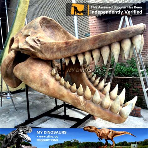 Custom Made Leviathan Melvillei Jaw Skeleton For Sale | MyDinosaurs