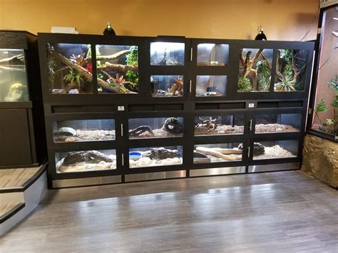 Reptile Display Enclosures | Reptile room, Reptiles, Reptile enclosure