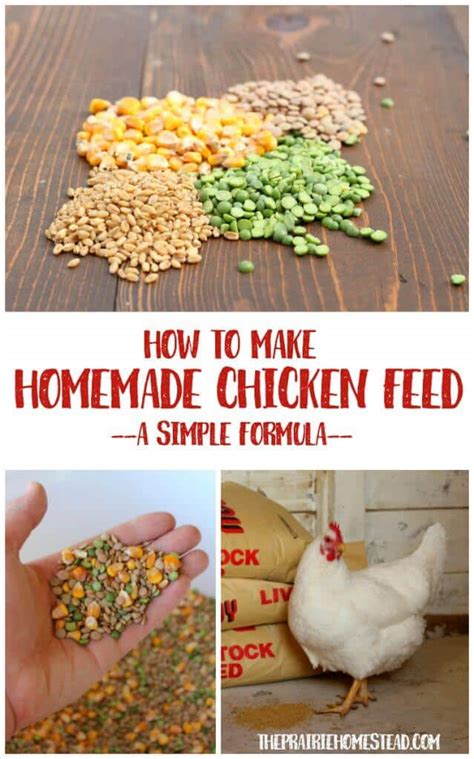 Homemade Chicken Feed Recipe • The Prairie Homestead