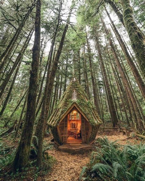 This little cottage in the woods : r/oddlysatisfying