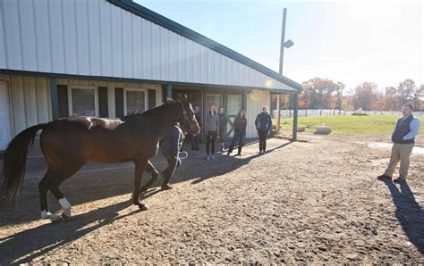 15 Best Equestrian Colleges & Universities in the US - Horsey Hooves