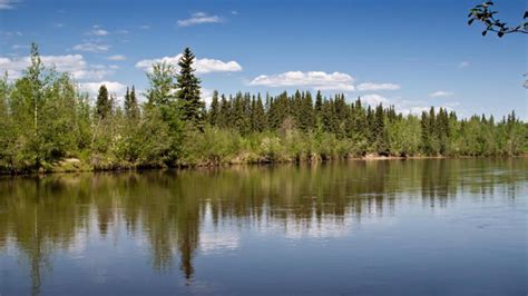 Salcha River State Recreation Site, Alaska | Travel Alaska