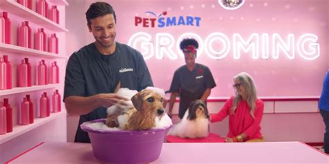 PetSmart Grooming Prices (2023 Updated) – Discovering Employment Paths and Travel Experiences