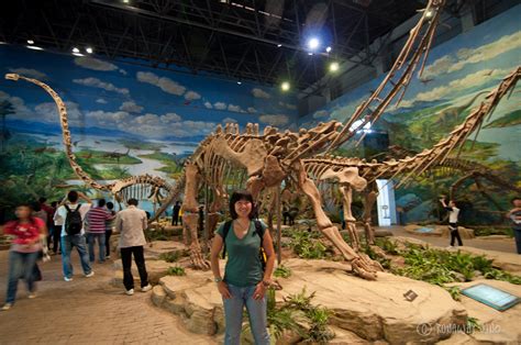 Asia's First Dinosaur Museum in Zigong, Sichuan, China