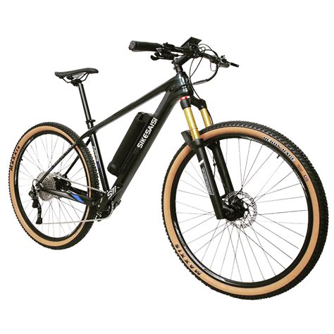 29inch Carbon Fiber Electric Bicycle Battery Removable Electric ...