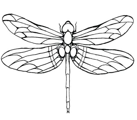 Free Dragonfly Coloring Pages at GetColorings.com | Free printable ...