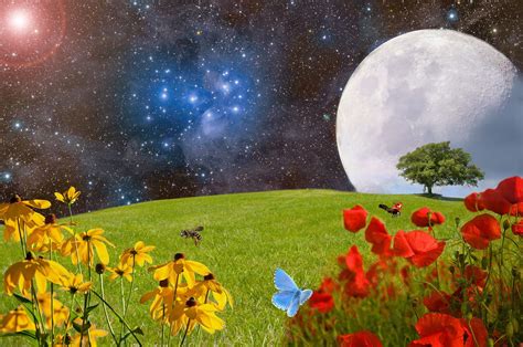 Flowers and Moon Wallpapers - Top Free Flowers and Moon Backgrounds - WallpaperAccess