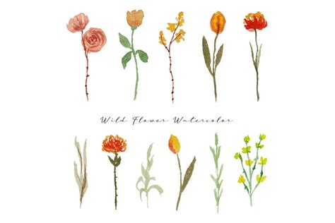 Aesthetic Hand Painted Wild Flower Graphic by fathurmutiah · Creative ...