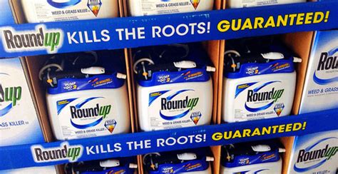 CALIFORNIA TO LABEL MONSANTO’S ROUNDUP AS ‘CARCINOGENIC’ | Critical ...