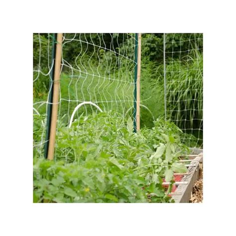 Hortonova Trellis Netting in 2022 | Trellis netting, Trellis, Climbing ...