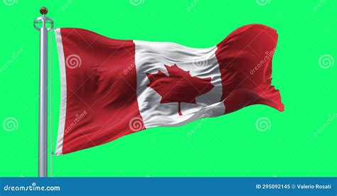 Canada National Flag Waving on Green Screen Stock Video - Video of shape, national: 295092145