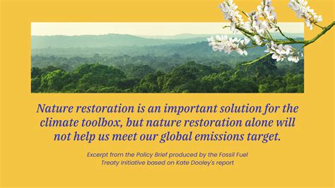 Nature restoration is no substitute for steep emission reductions — The ...