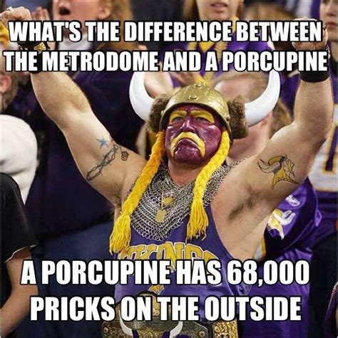 Pin by Traci on Packers | Minnesota vikings humor, Football memes ...