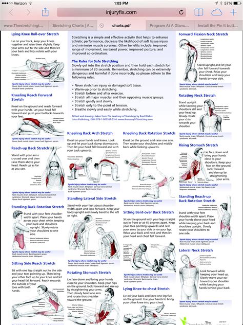 scoliosis specific exercises pdf - Minh Wakefield