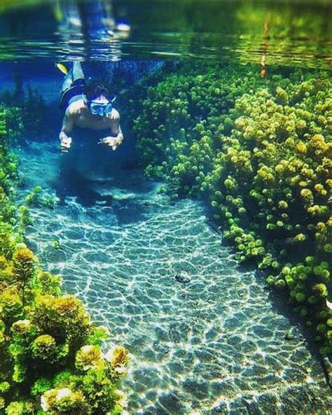 Destinasi Wisata Keren Di Malang | Tempat Wisata Indonesia