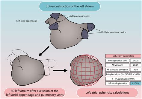 Illustration explaining the LA sphericity calculation A 3D... | Download Scientific Diagram