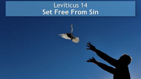 Leviticus 14, Set Free From Sin - Living Water Church