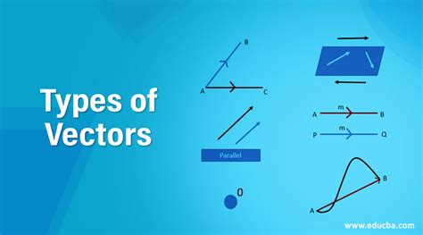 Types of Vectors | LaptrinhX