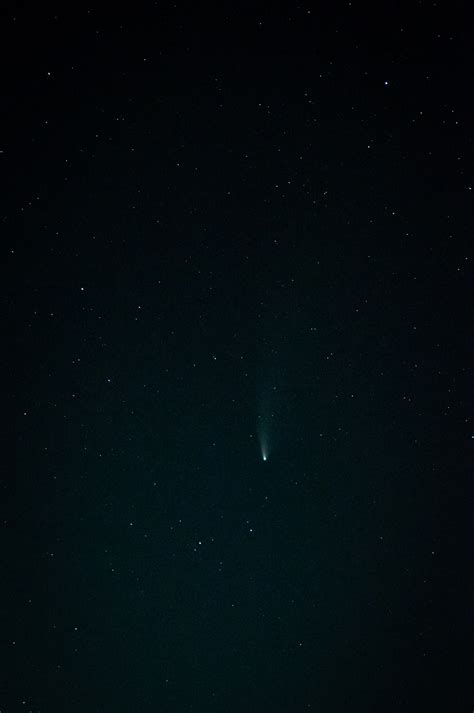 Neowise Comet :: Behance