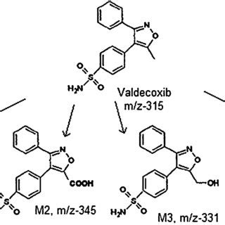 Structures of valdecoxib and its transformed products | Download Scientific Diagram