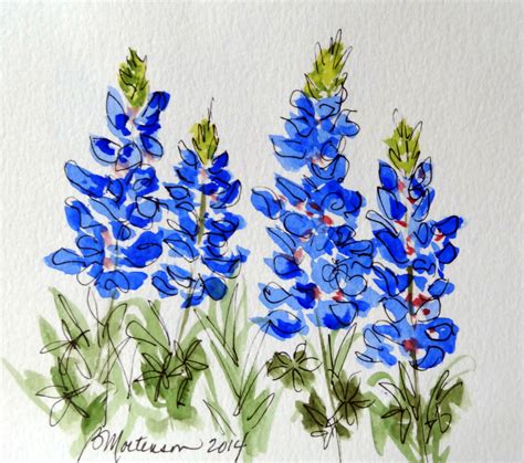 Bluebonnet Flower Drawing