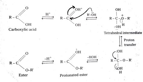 mechanism of esterification class 12