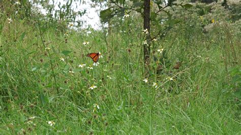 Autumn on the Prairie – Buffalo Bayou Partnership